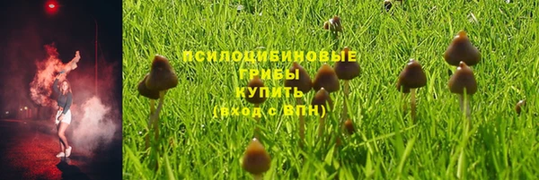 ALPHA-PVP Горно-Алтайск