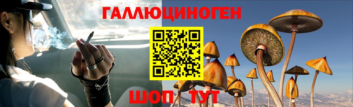 Галлюциногенные грибы мухоморы  Джанкой  Галлюциногенные грибы GOLDEN TEACHER 